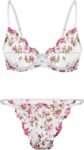 Sexy Floral Embroidered Mesh Sheer Underwire Lingerie Set